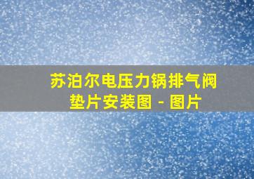 苏泊尔电压力锅排气阀垫片安装图 - 图片